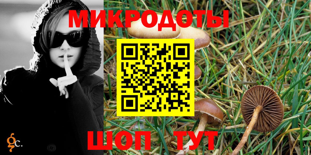 Галлюциногенные грибы Psilocybe  Вход с VPN  Энгельс 